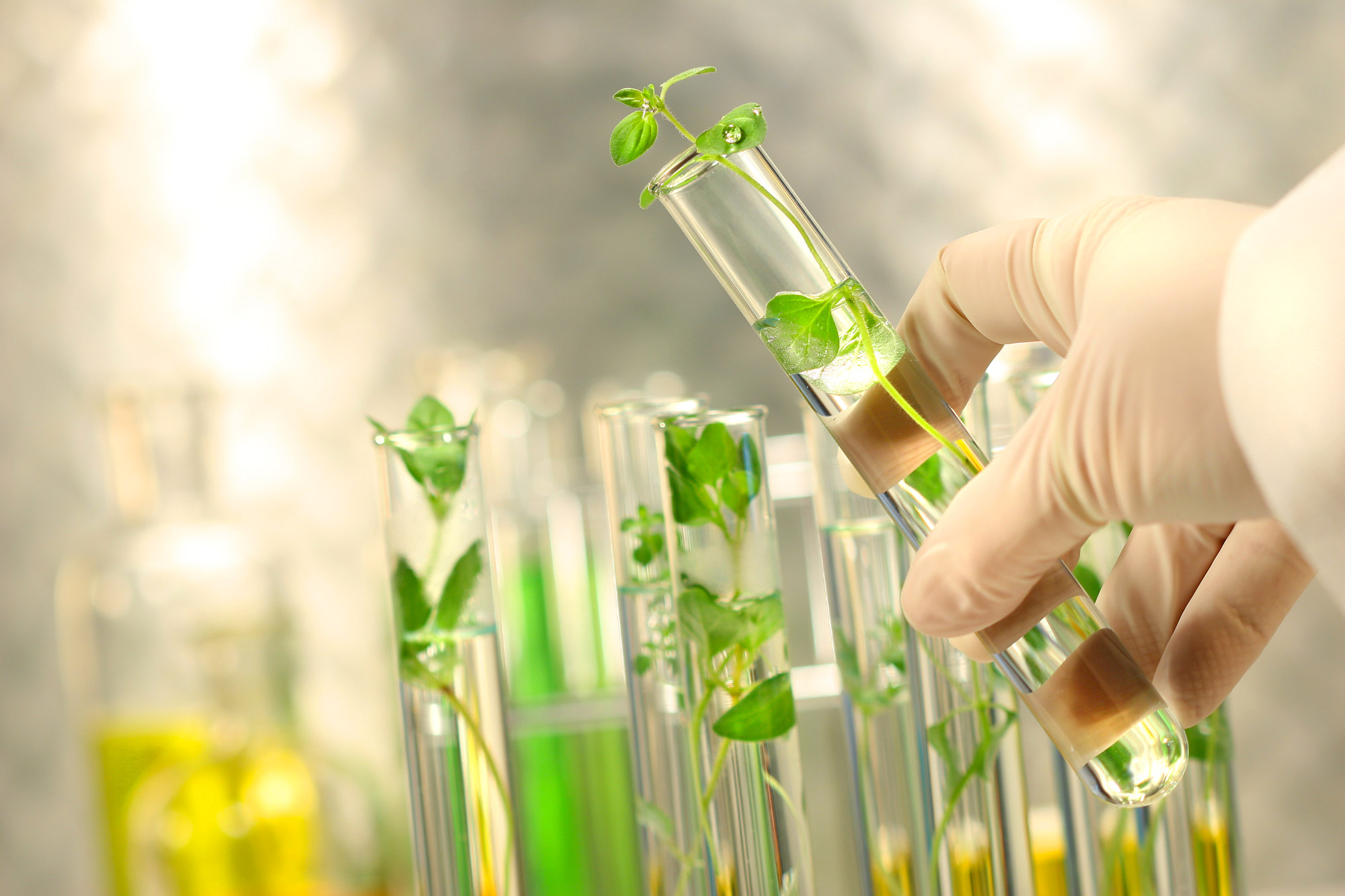 EPi BioScale accélérateur de développement des bio-procédés