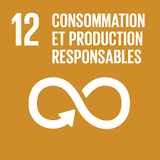 Objectif développement durable 12